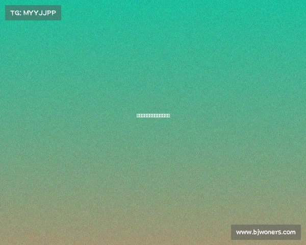 柯城区电子竞技协会会长名单